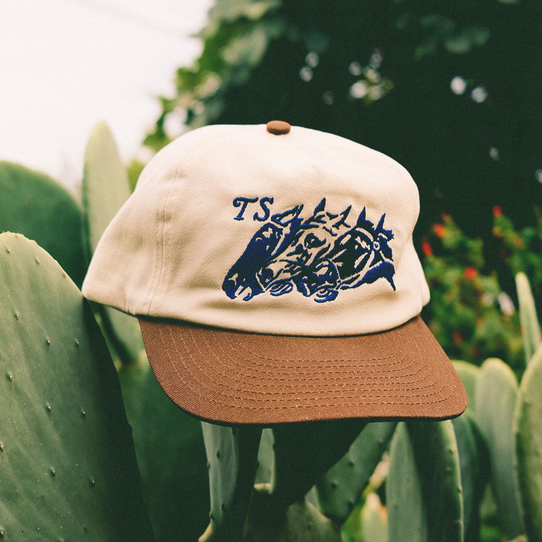 WILD HORSES HAT