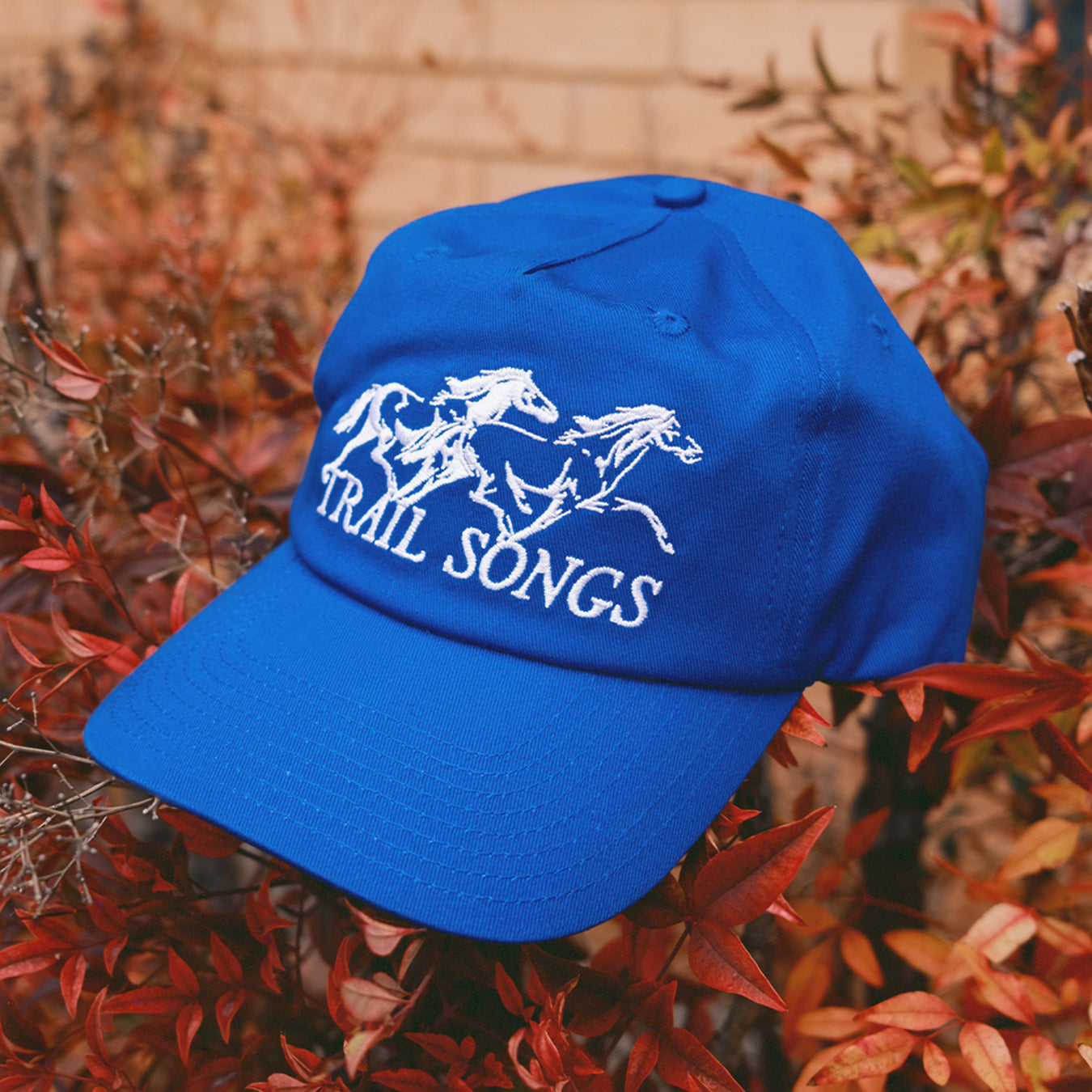 RUNNING HORSES HAT